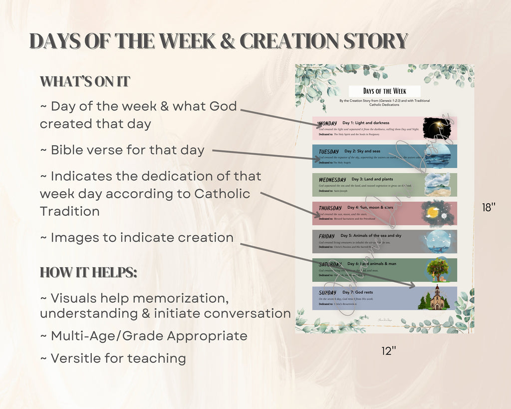 Educational poster about days of the week and creation story with text and images.